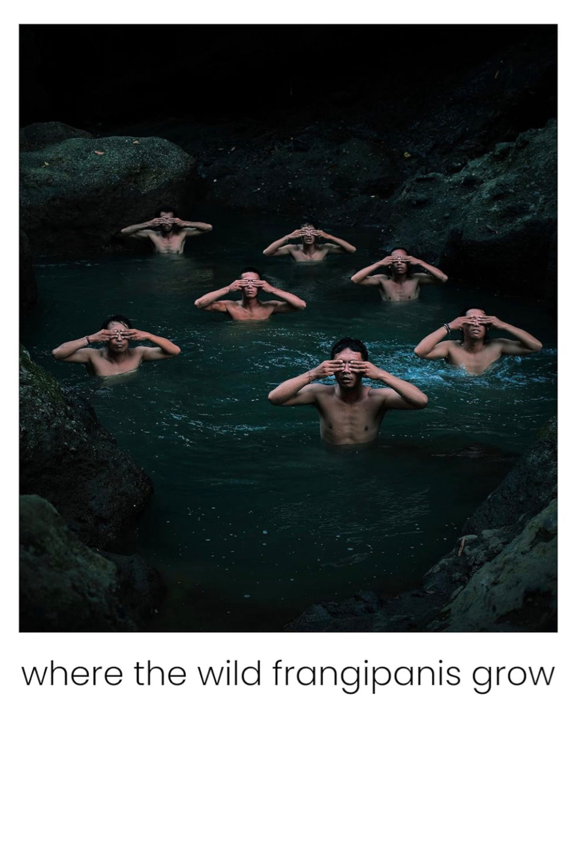 Nơi hoa sứ dại mọc